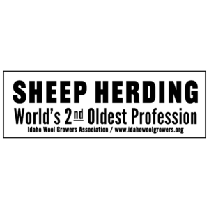 "Sheep Herding: World’s 2nd Oldest Profession" Bumper Sticker
